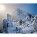 Field West Rime #1, Tasmania by Grant Dixon