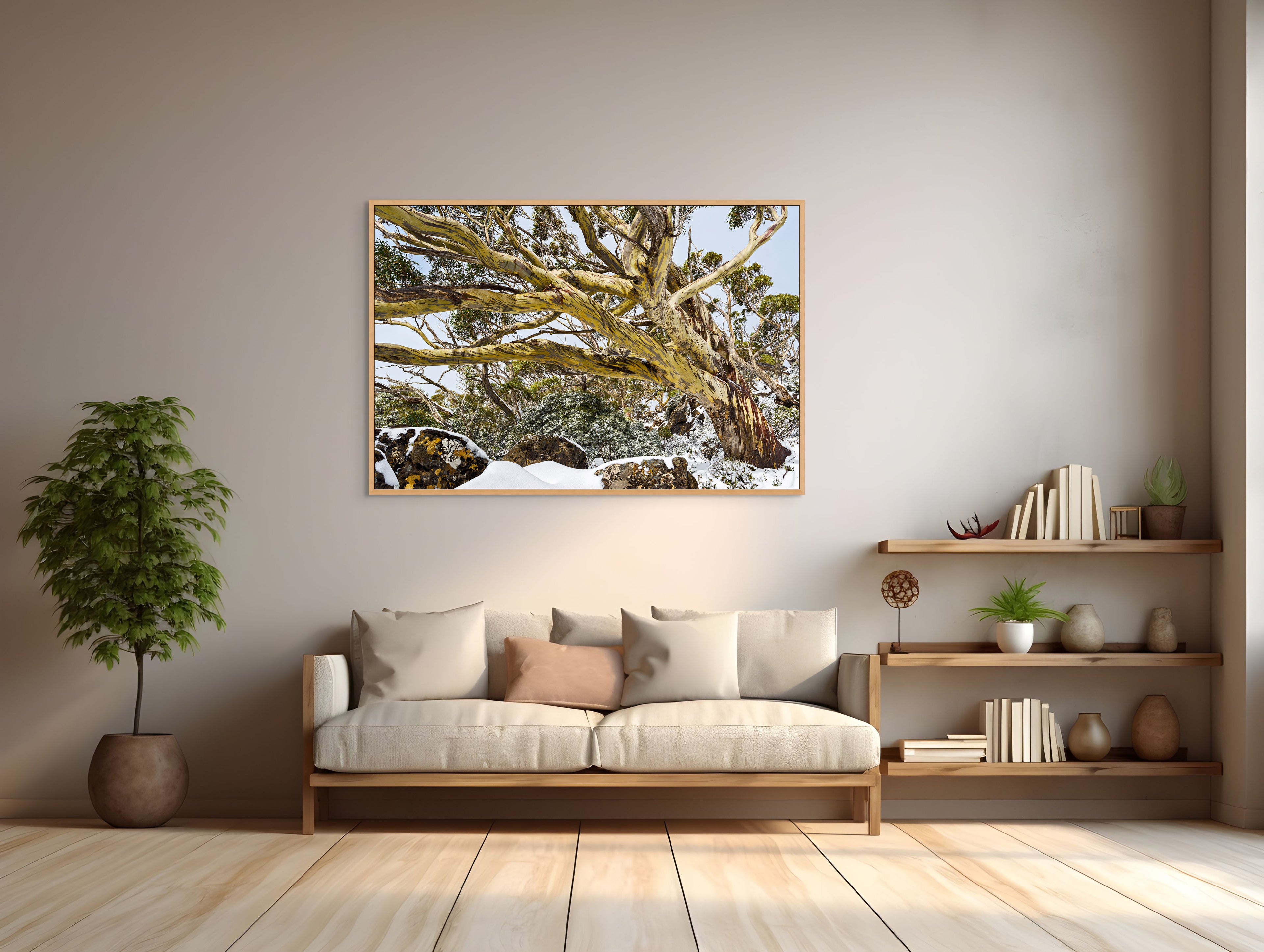 Snowgum Mt Field  #1, Tasmania by Grant Dixon