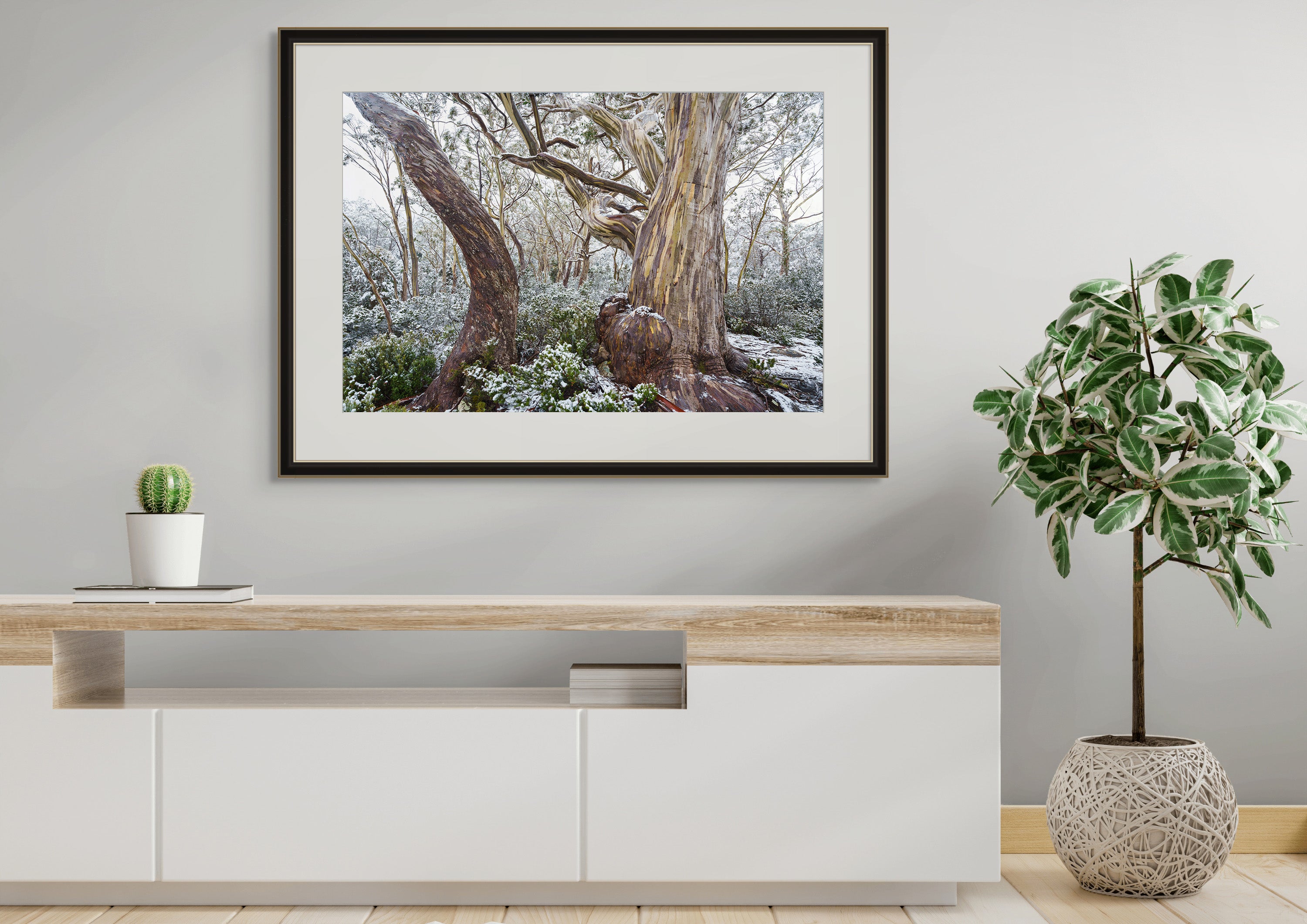 Hugel snowy woodland, Tasmania by Grant Dixon