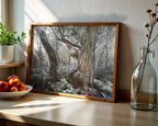 Hugel snowy woodland, Tasmania by Grant Dixon