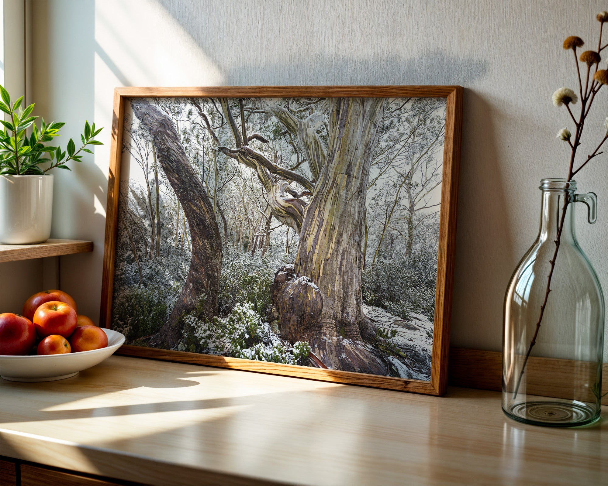 Hugel snowy woodland, Tasmania by Grant Dixon