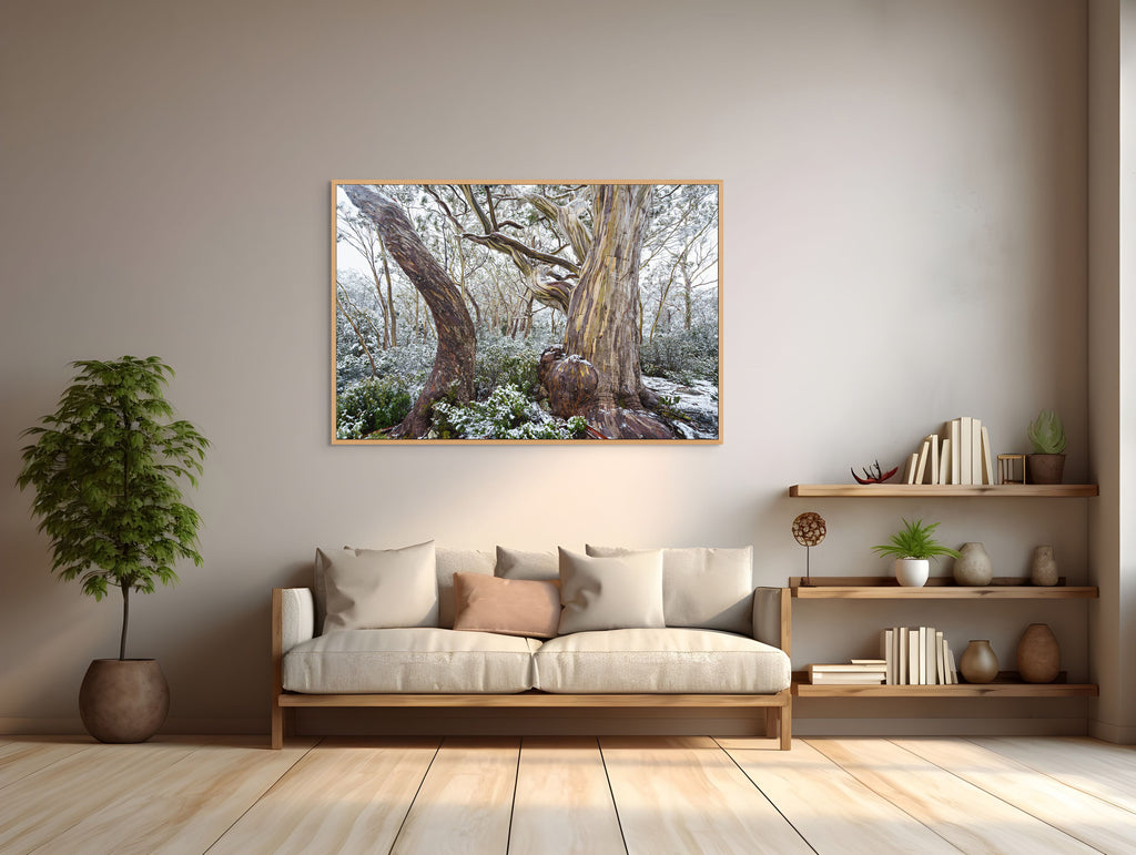 Hugel snowy woodland, Tasmania by Grant Dixon