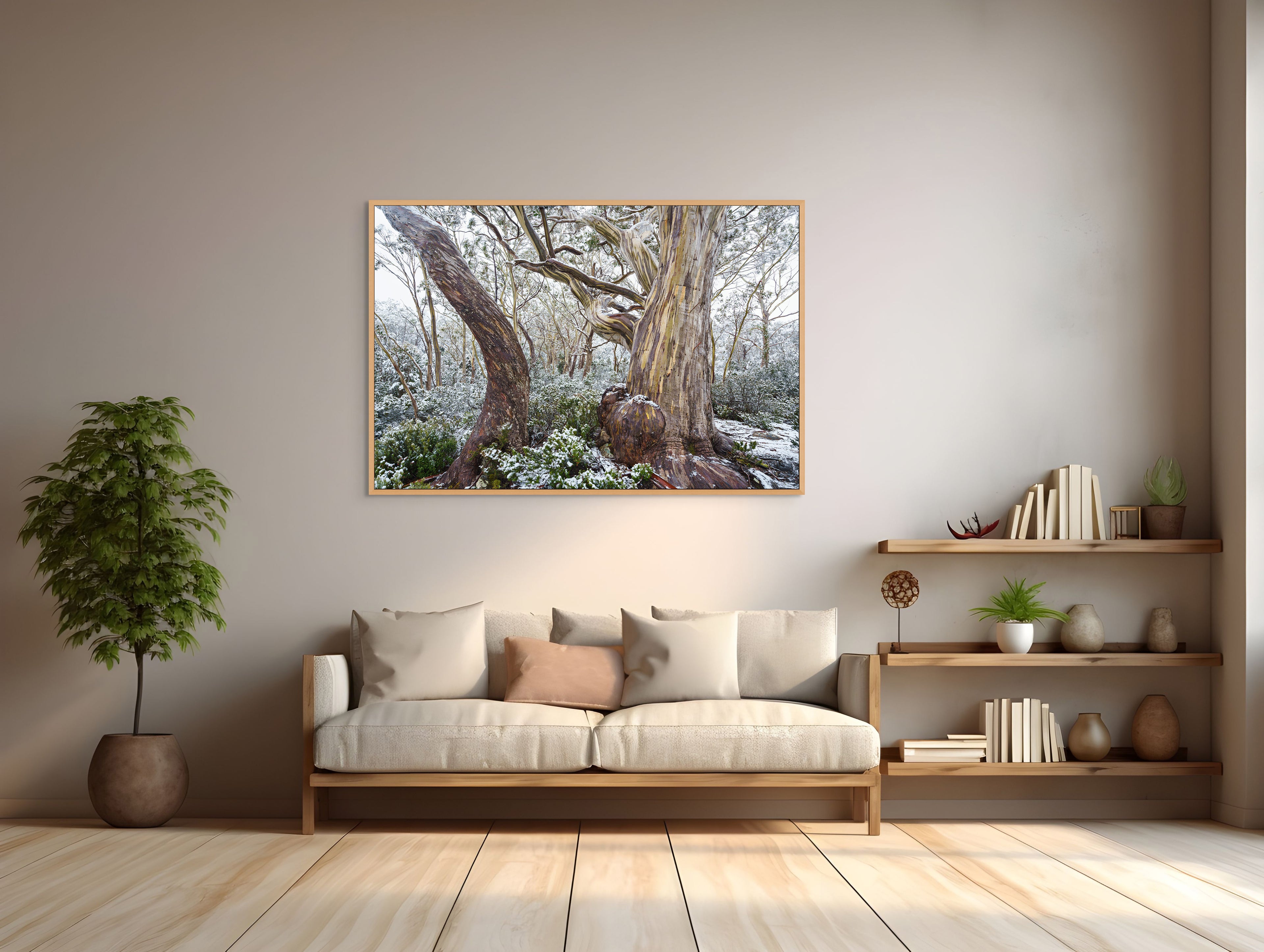 Hugel snowy woodland, Tasmania by Grant Dixon