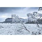 Oakleigh snowy dusk, Tasmania by Grant Dixon
