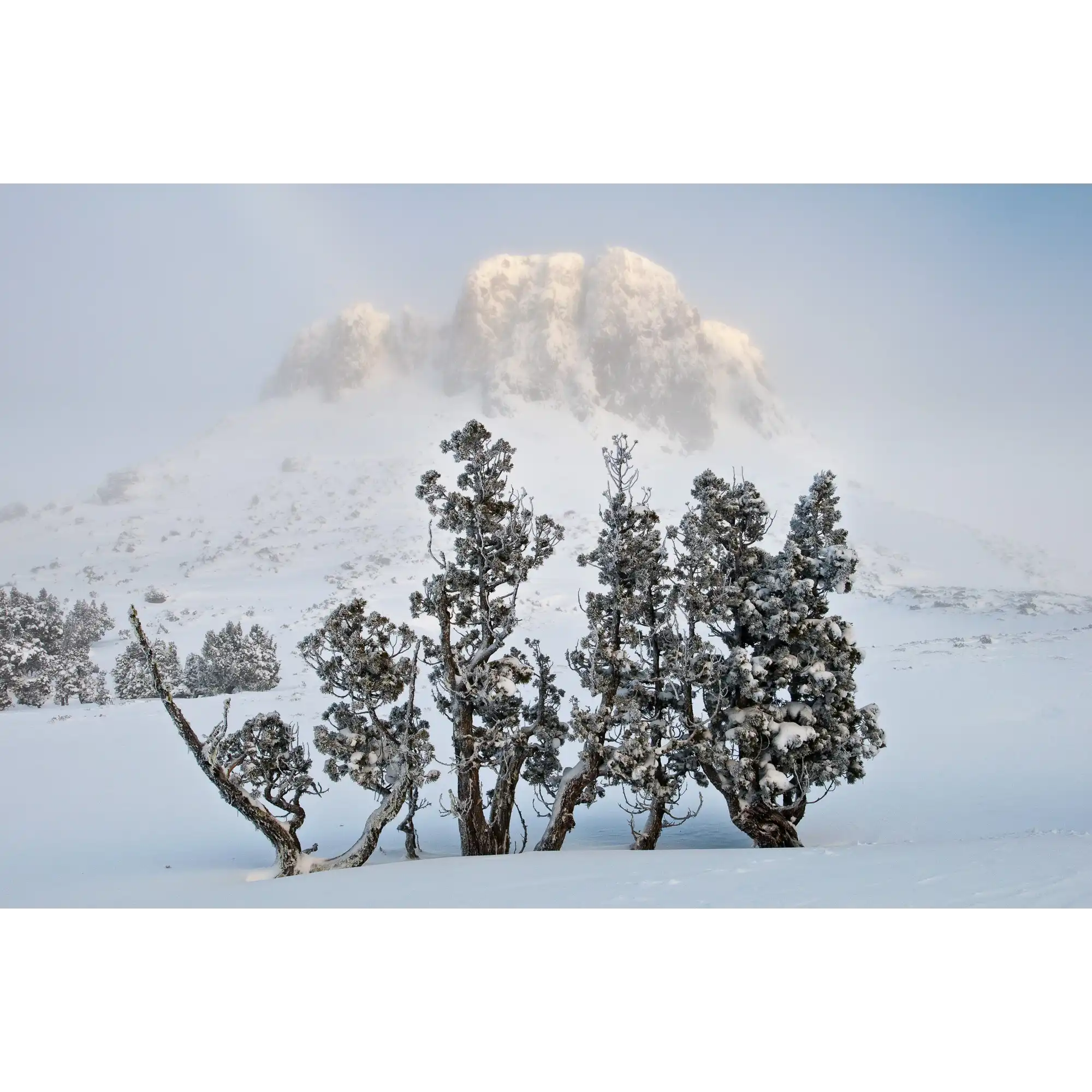 Damascus winter dawn, Tasmania by Grant Dixon