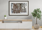 Snowy Pencil Pine forest #1, Tasmania by Grant Dixon