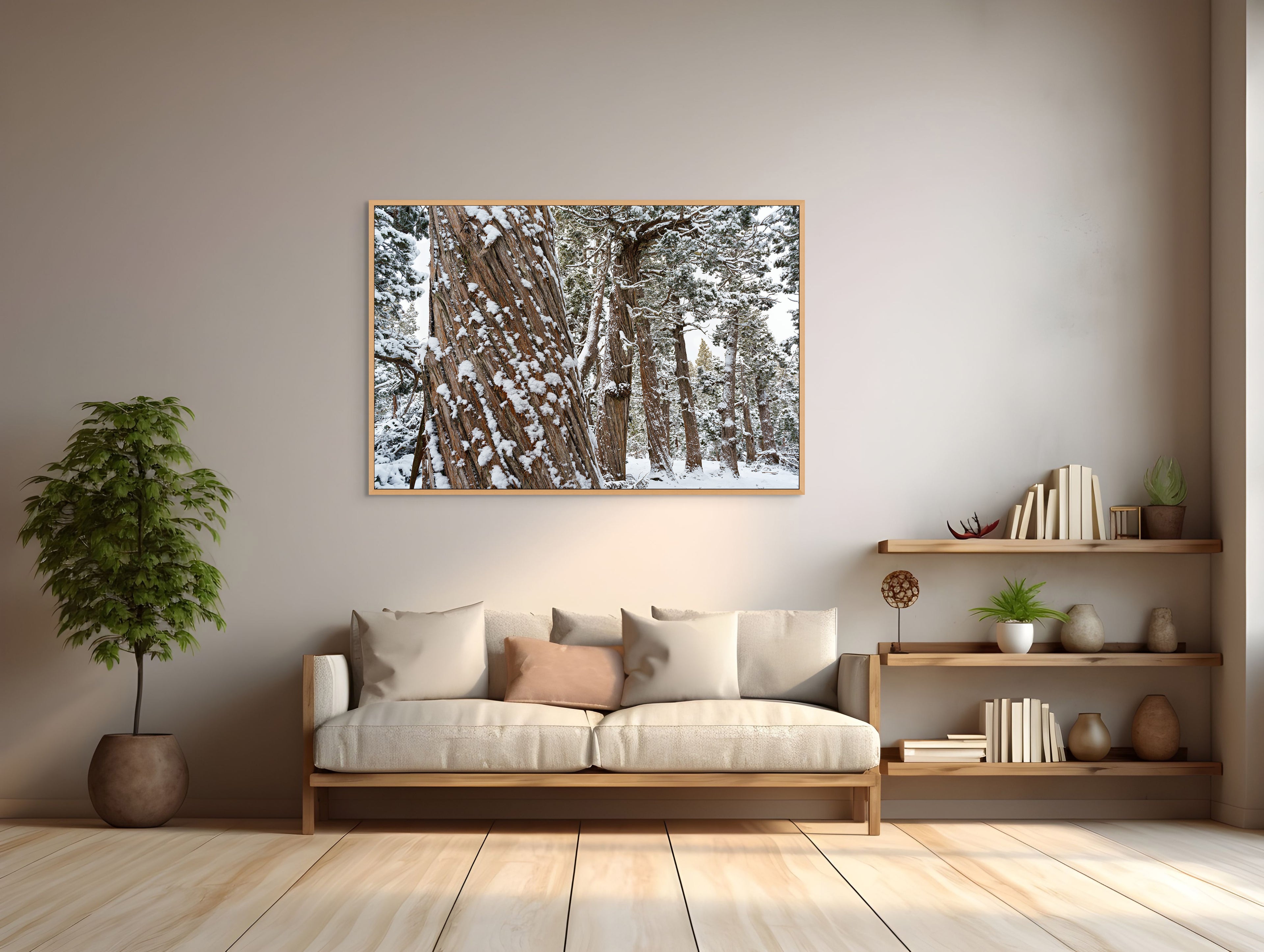 Snowy Pencil Pine forest #1, Tasmania by Grant Dixon