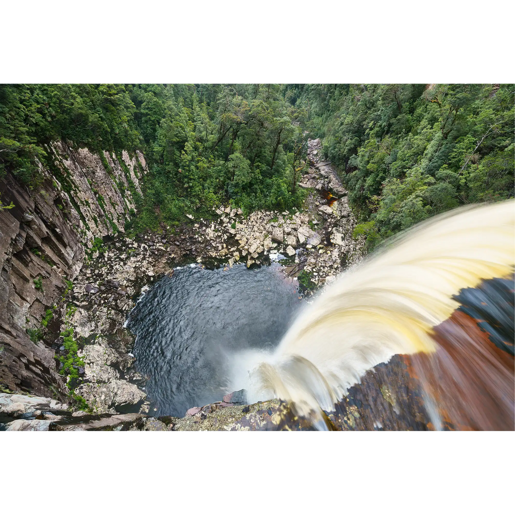Rainforest plunge pool, southwest Tasmania  by Grant Dixon