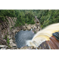 Rainforest plunge pool, southwest Tasmania  by Grant Dixon