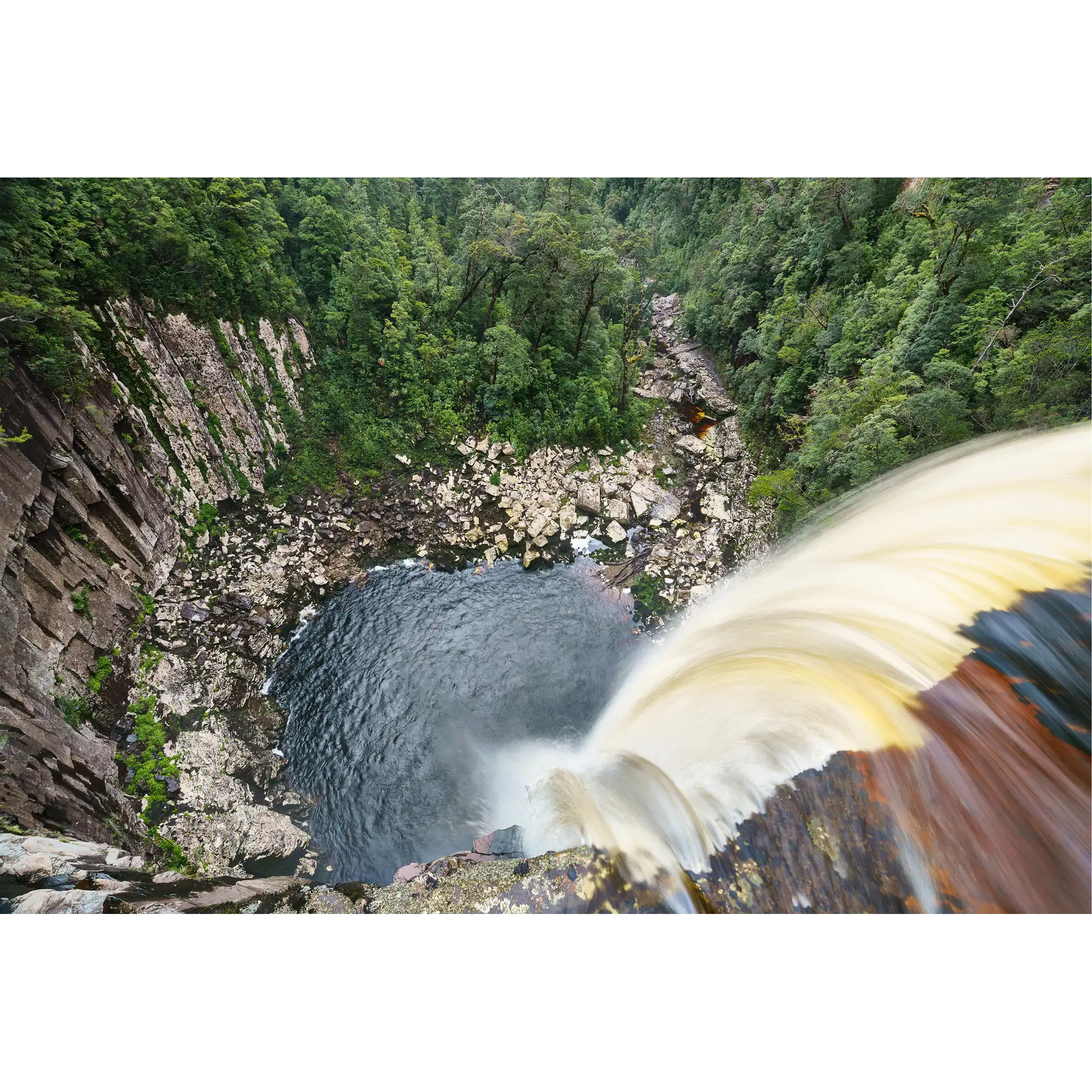 Rainforest plunge pool, southwest Tasmania  by Grant Dixon