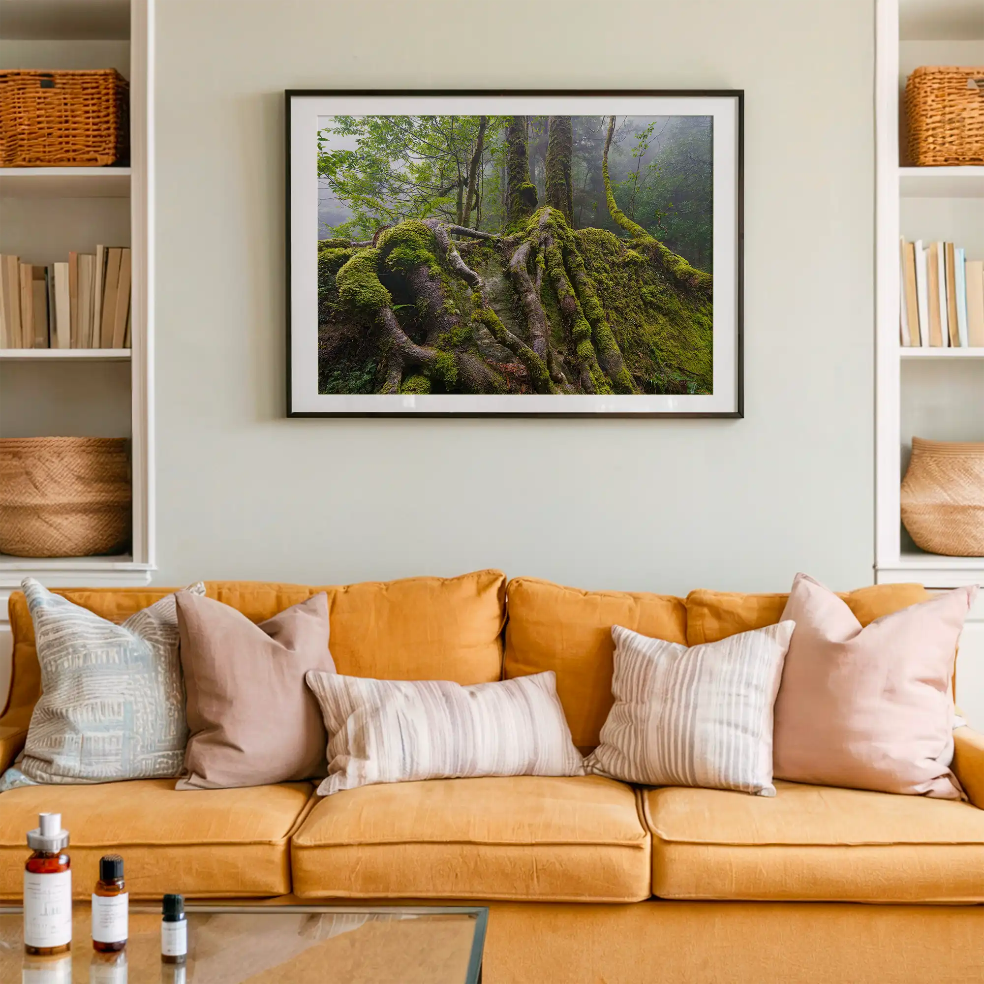Sassafras roots, Great Western Tiers, Tasmania by Grant Dixon