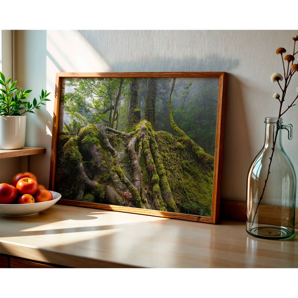 Sassafras roots, Great Western Tiers, Tasmania by Grant Dixon