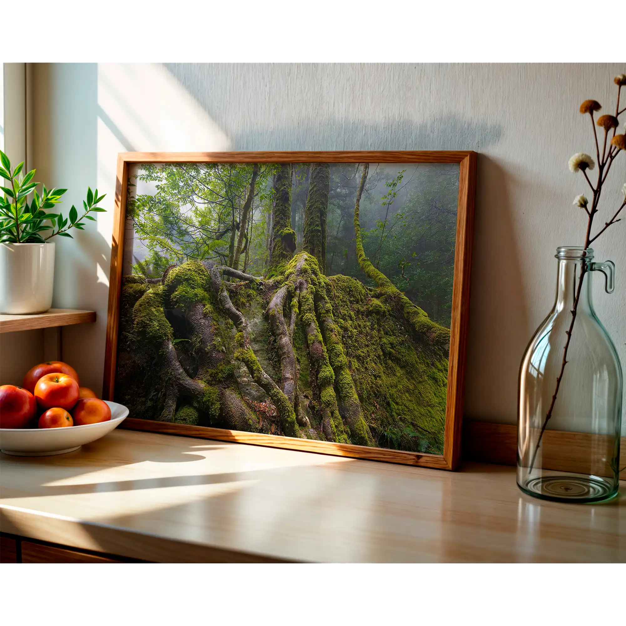 Sassafras roots, Great Western Tiers, Tasmania by Grant Dixon