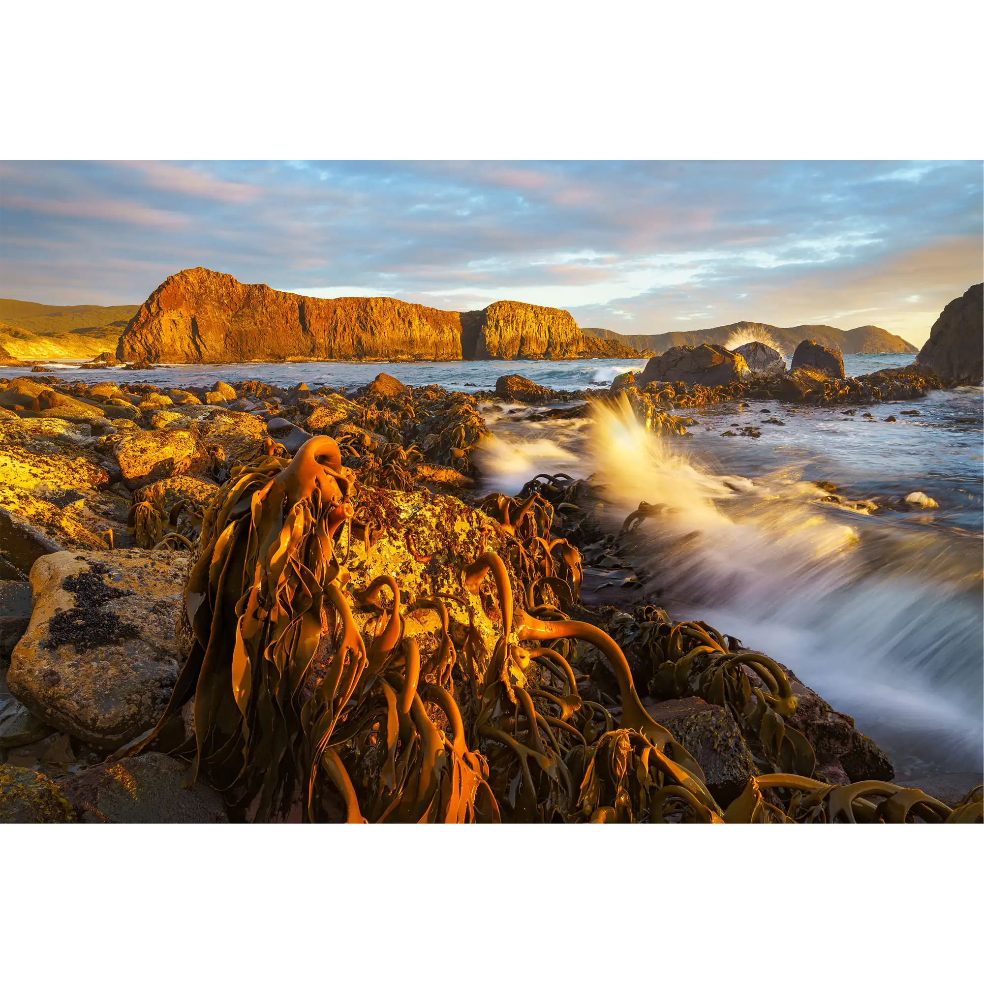 Kelp at low tide and sunset, south coast, Tasmania by Grant Dixon