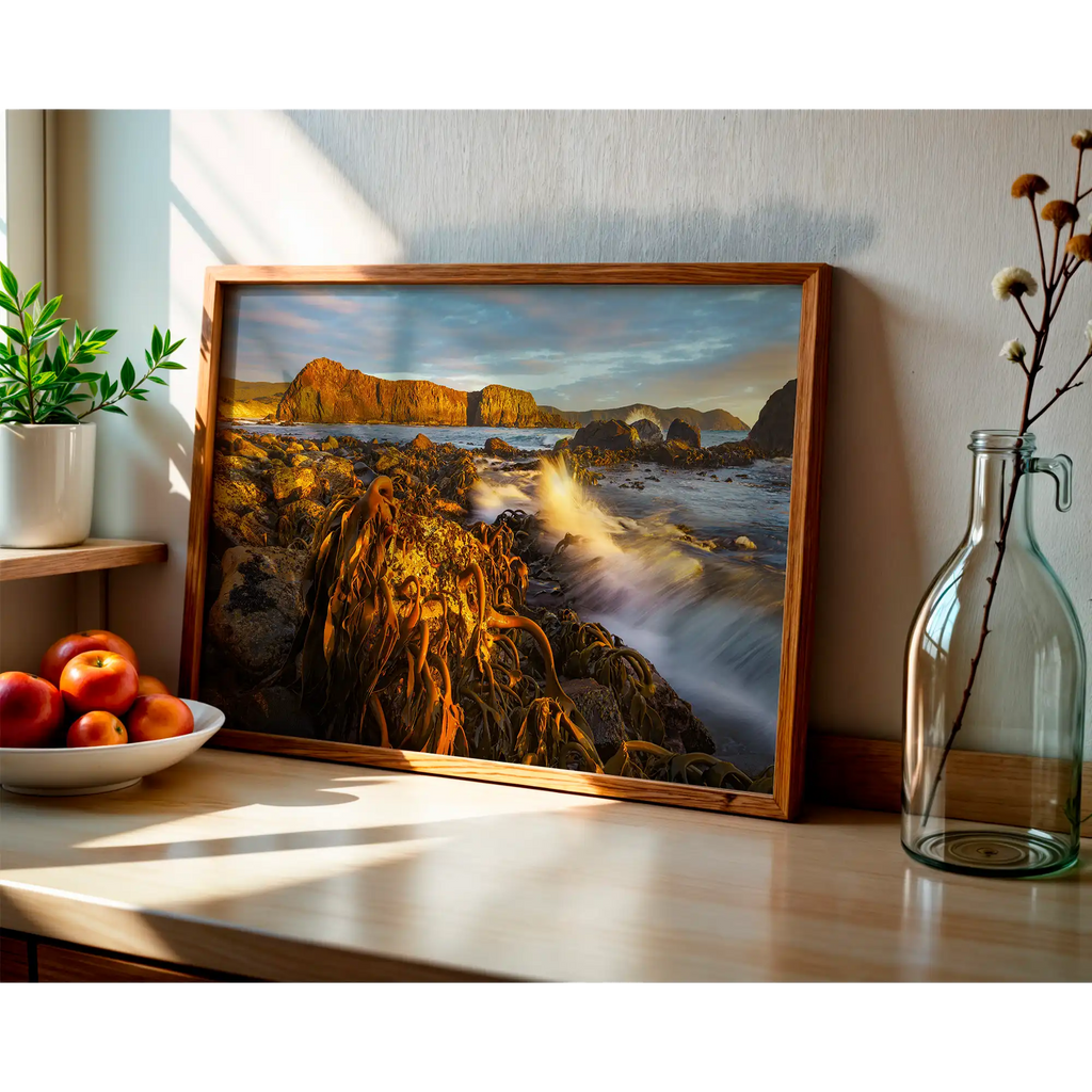 Kelp at low tide and sunset, south coast, Tasmania by Grant Dixon
