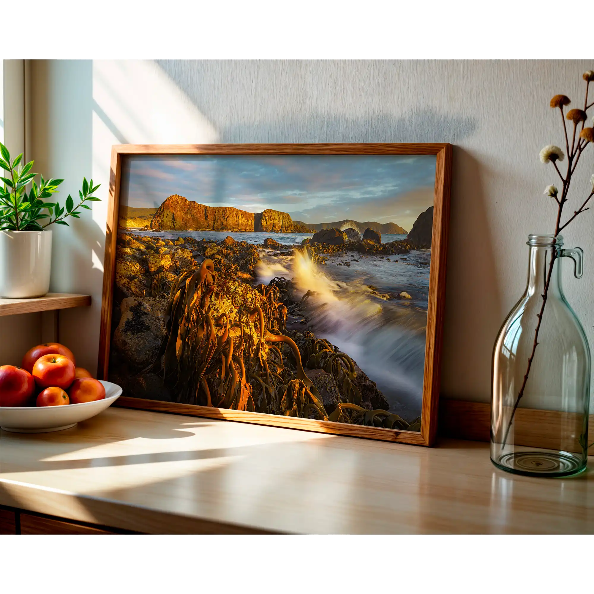 Kelp at low tide and sunset, south coast, Tasmania by Grant Dixon