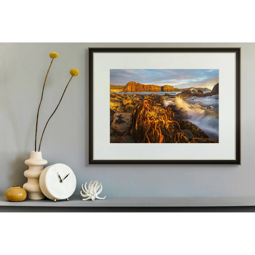 Kelp at low tide and sunset, south coast, Tasmania by Grant Dixon