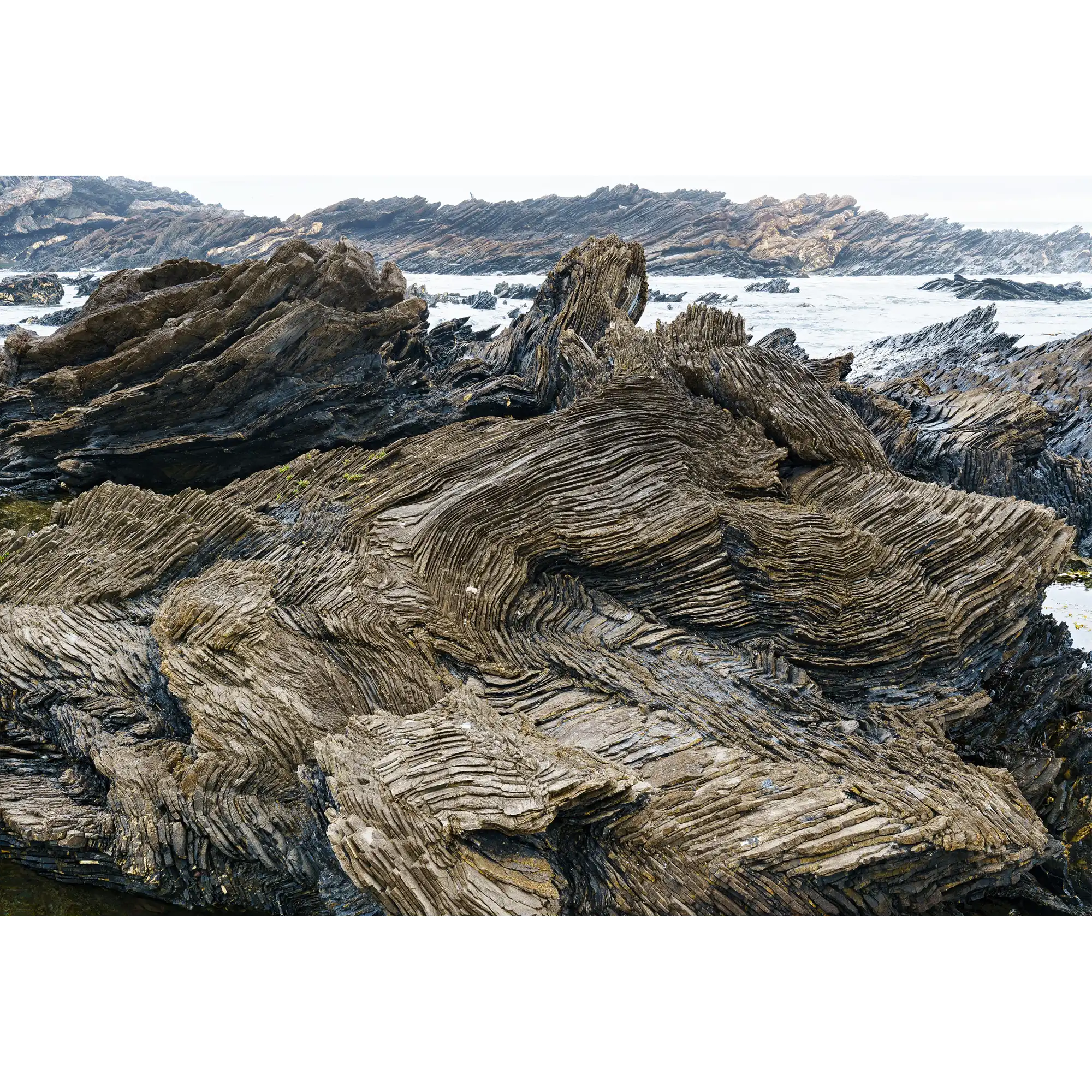 Oonah folding, Clydies Corner, Spero-Wanderer region, Tasmania by Grant Dixon
