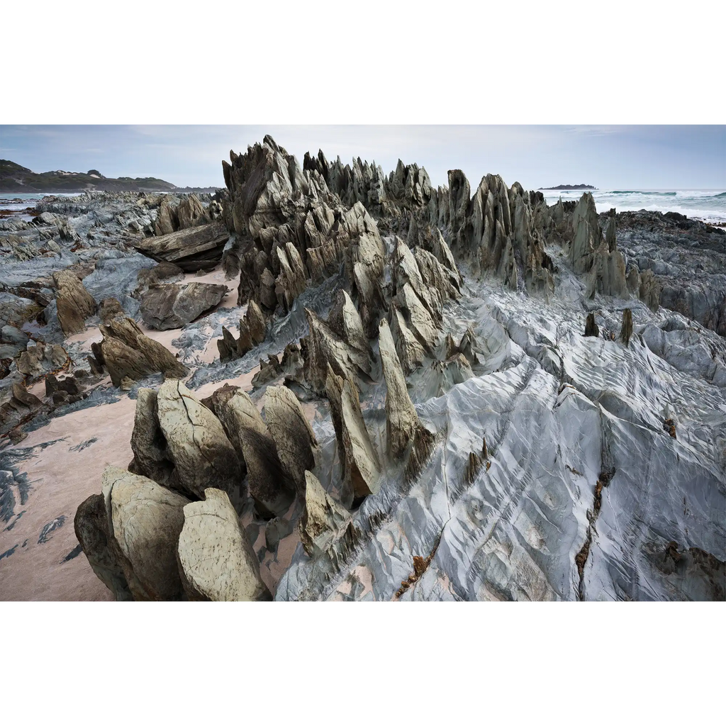 Rock blades, Albina Creek, Spero-Wanderer region, Tasmania by Grant Dixon
