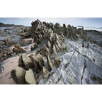 Rock blades, Albina Creek, Spero-Wanderer region, Tasmania by Grant Dixon