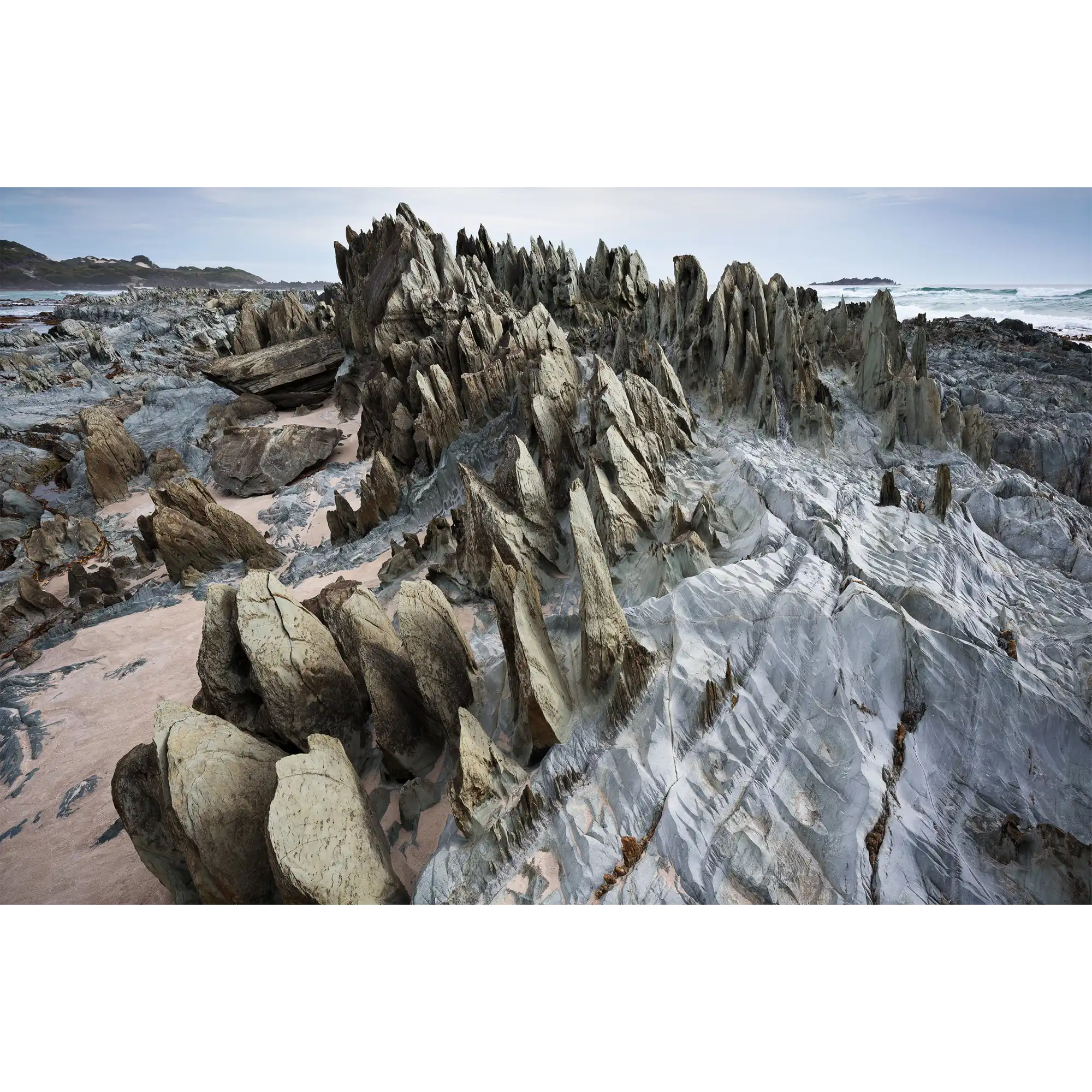 Rock blades, Albina Creek, Spero-Wanderer region, Tasmania by Grant Dixon