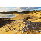 Aboriginal midden, Sassy Creek, Spero-Wanderer region, Tasmania by Grant Dixon