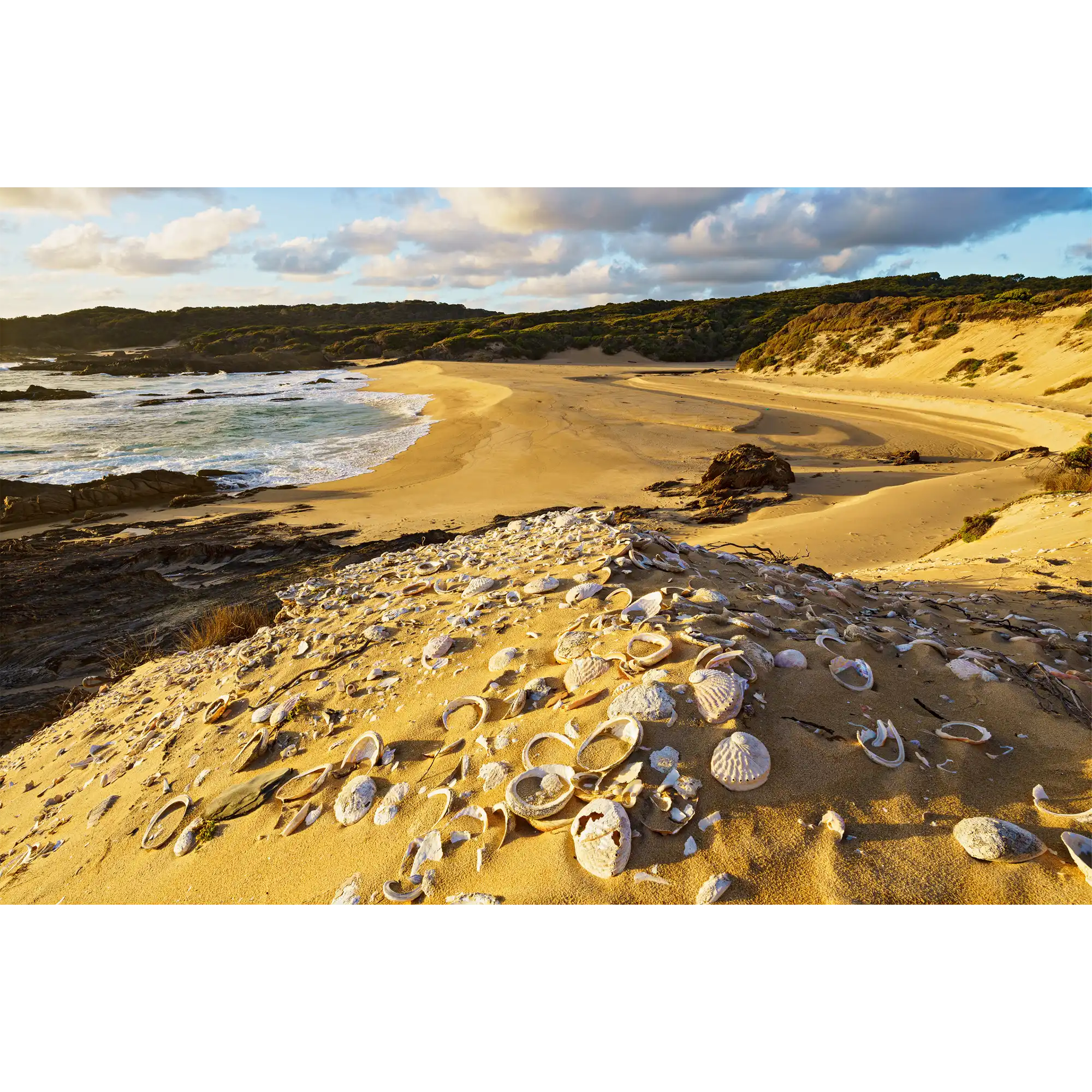 Aboriginal midden, Sassy Creek, Spero-Wanderer region, Tasmania by Grant Dixon