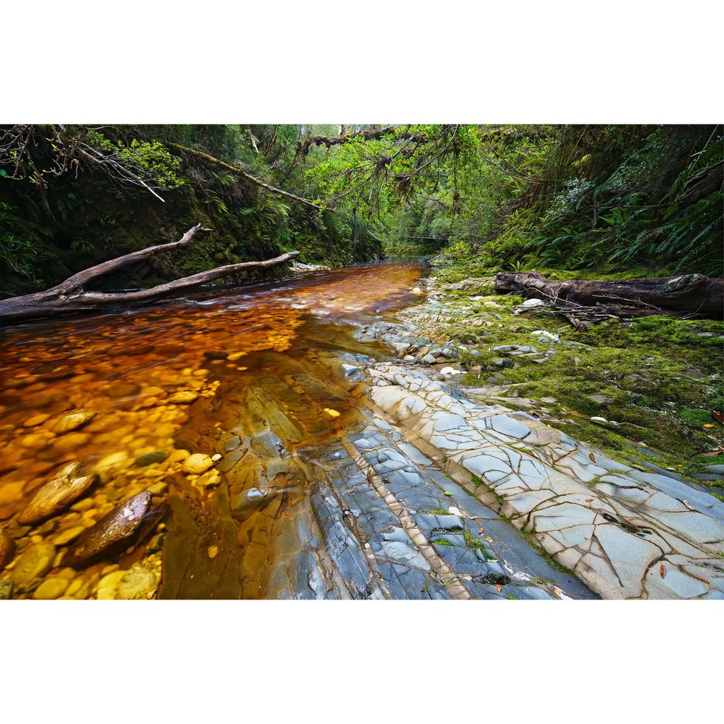Cambrian strata, Spero River, Spero-Wanderer region, Tasmania by Grant Dixon