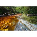 Cambrian strata, Spero River, Spero-Wanderer region, Tasmania by Grant Dixon