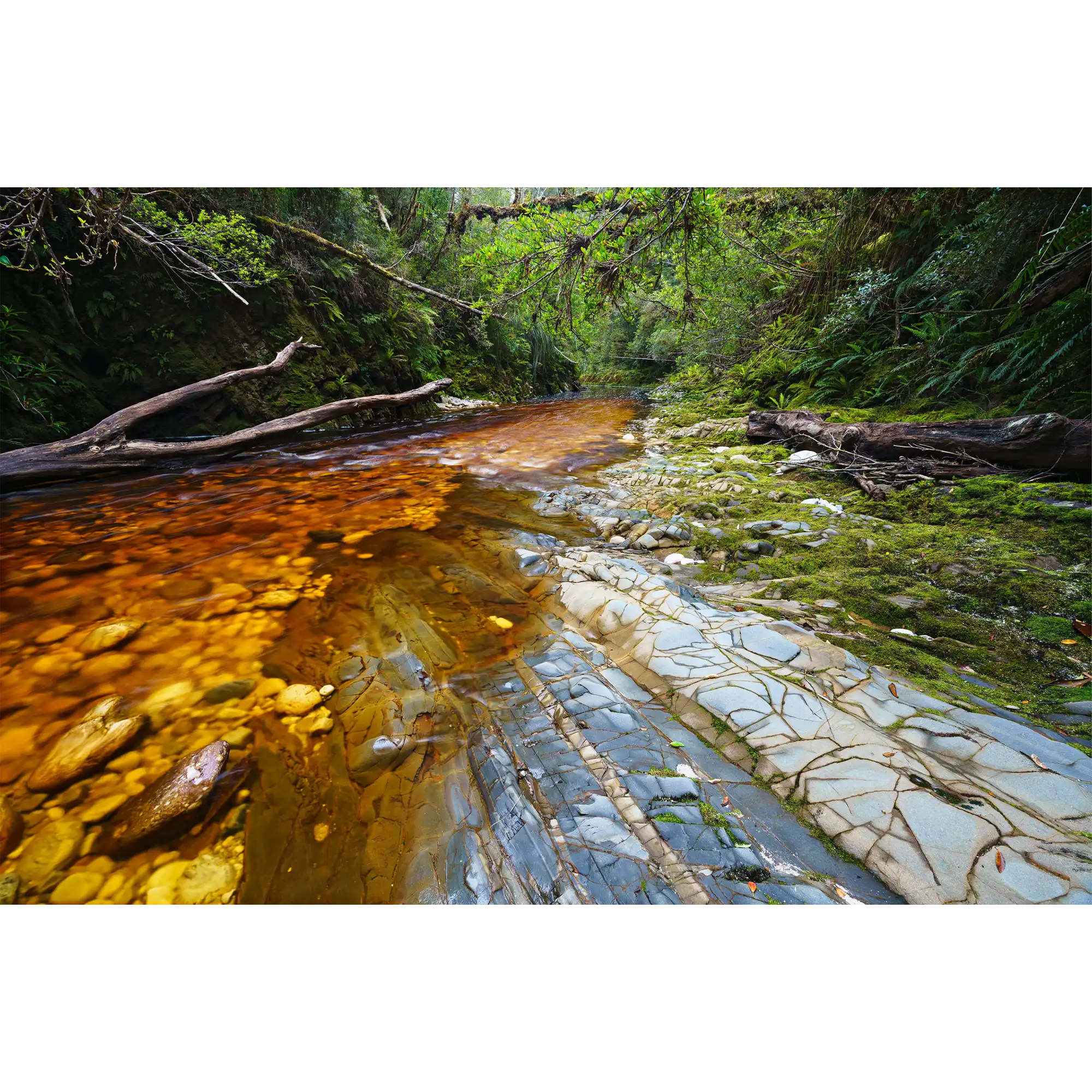 Cambrian strata, Spero River, Spero-Wanderer region, Tasmania by Grant Dixon