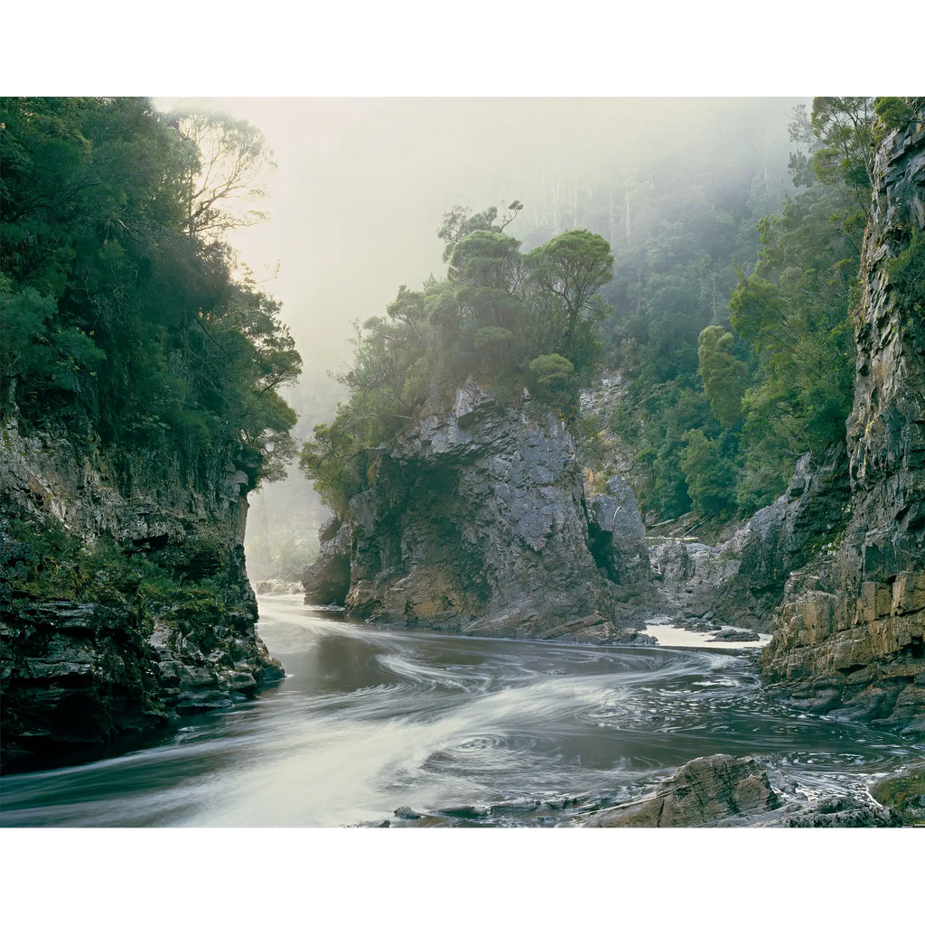 Morning mist, Rock Island Bend, Franklin River, Tasmania By Peter Dombrovskis