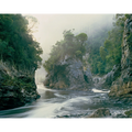 Morning mist, Rock Island Bend, Franklin River, Tasmania By Peter Dombrovskis