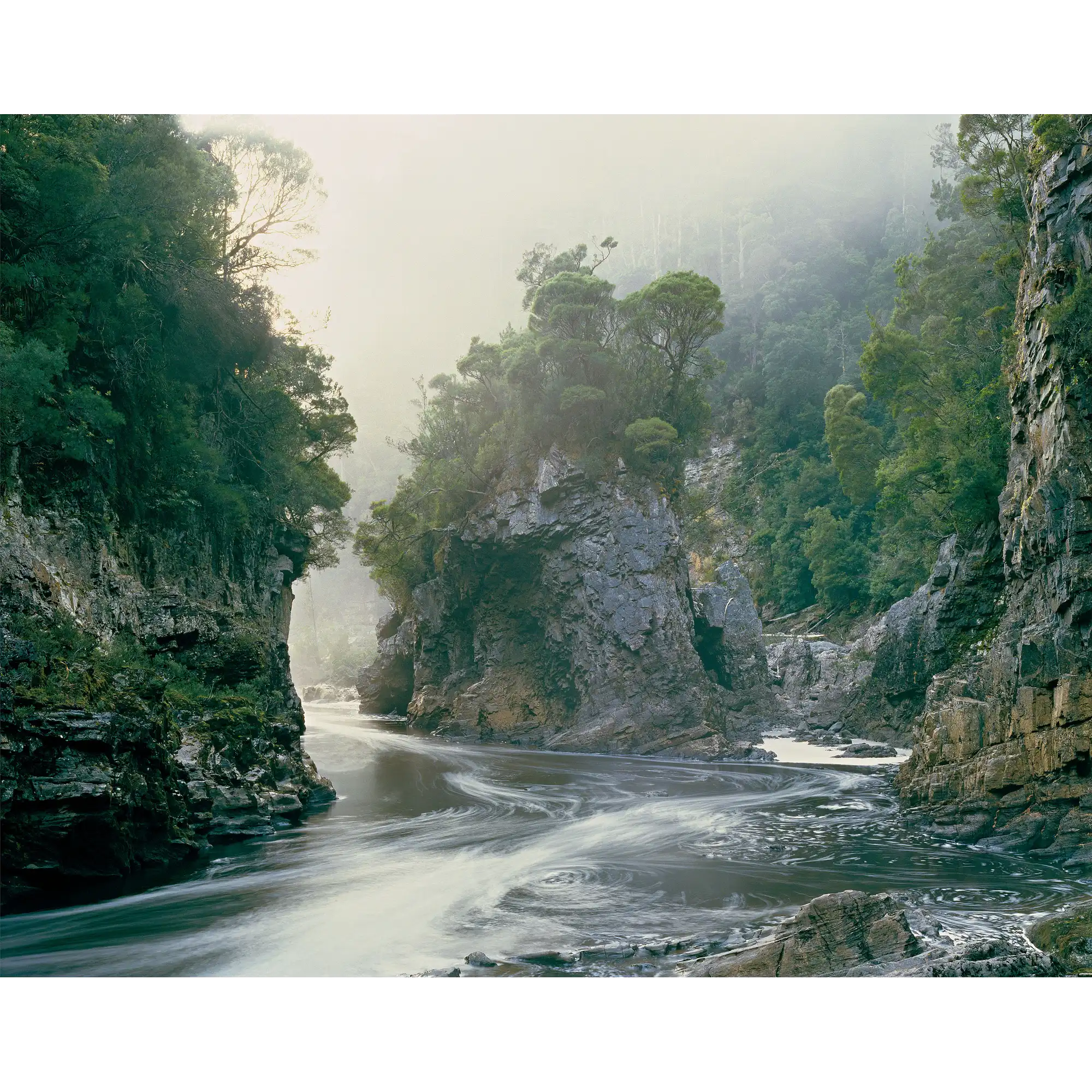 Morning mist, Rock Island Bend, Franklin River, Tasmania By Peter Dombrovskis
