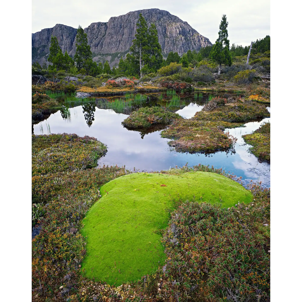 Tarn below the west wall, Walls of Jerusalem National Park, Tasmania by Peter Dombrovskis