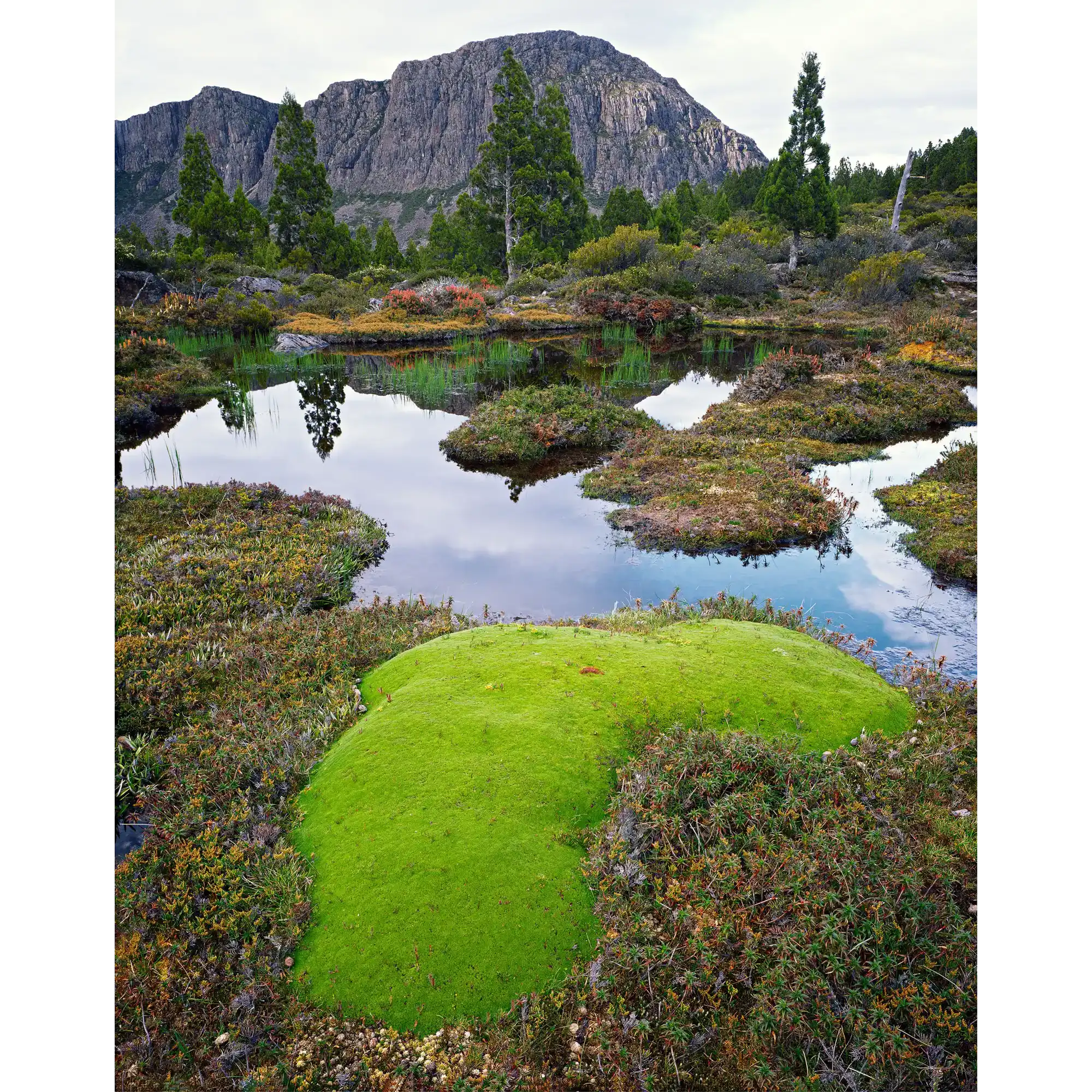 Tarn below the west wall, Walls of Jerusalem National Park, Tasmania by Peter Dombrovskis