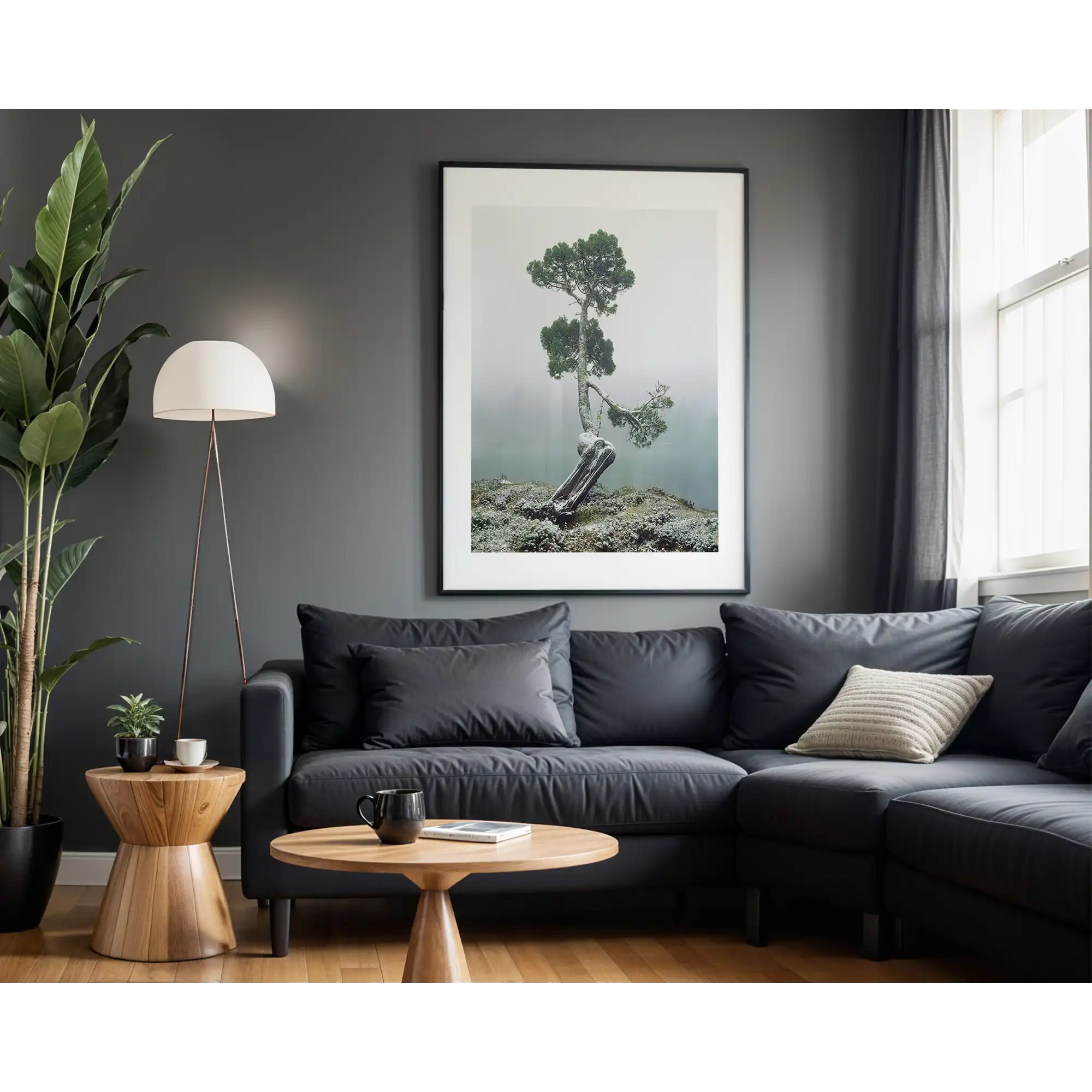 Pencil pine at Pool of Siloam, Walls of Jerusalem National Park, Tasmania by Peter Dombrovskis