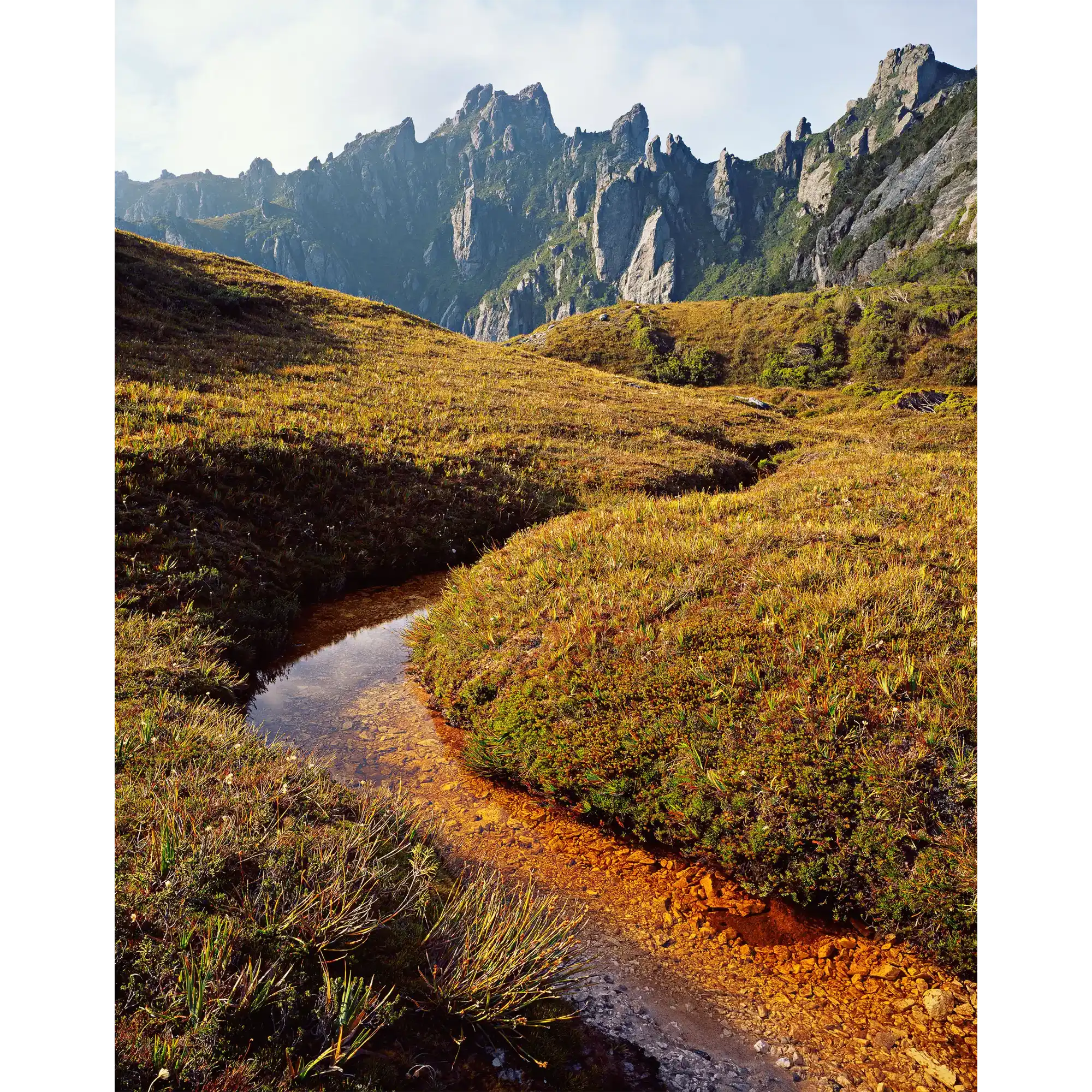 Mount Hayes, Western Arthur Range, southwest Tasmania by Peter Dombrovskis