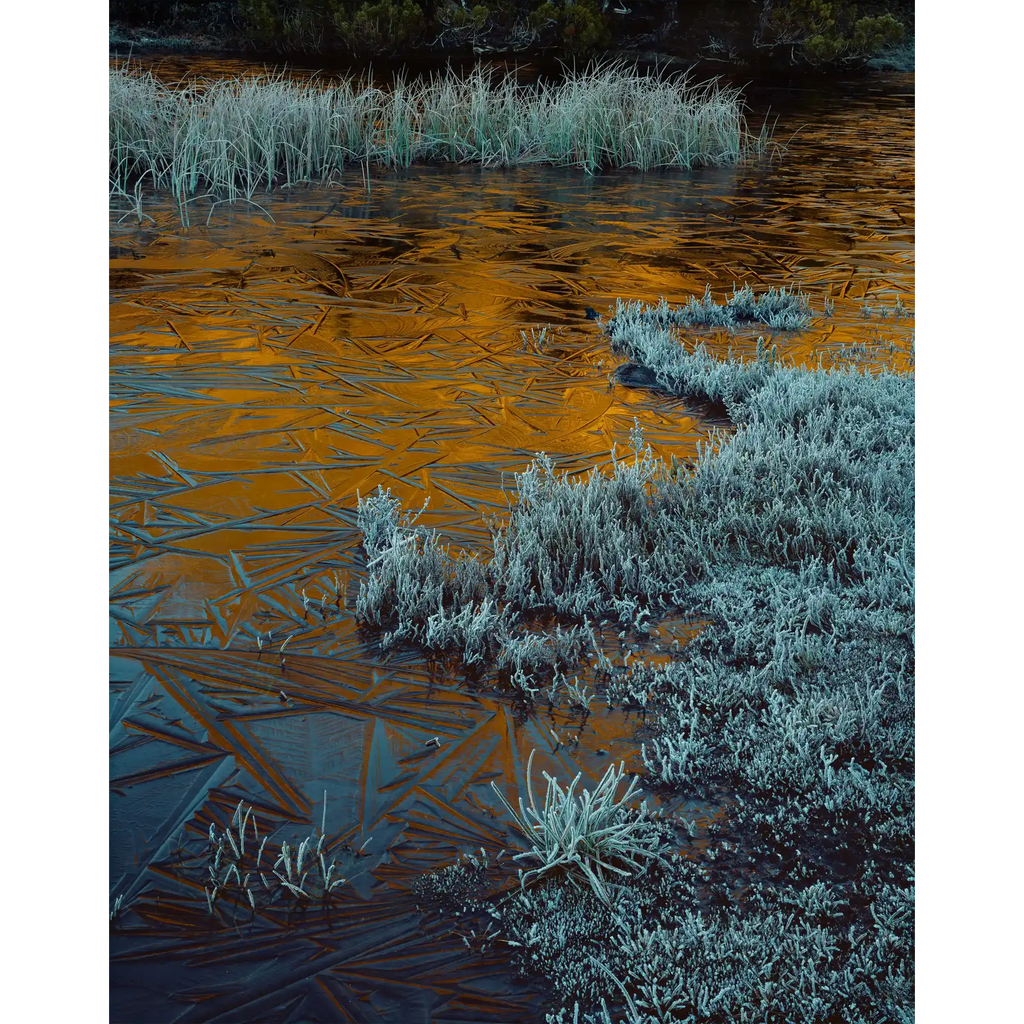 Ice and Alpenglow, Cradle Mountain-Lake St. Clair National Park, Tasmania by Peter Dombrovskis