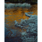 Ice and Alpenglow, Cradle Mountain-Lake St. Clair National Park, Tasmania by Peter Dombrovskis