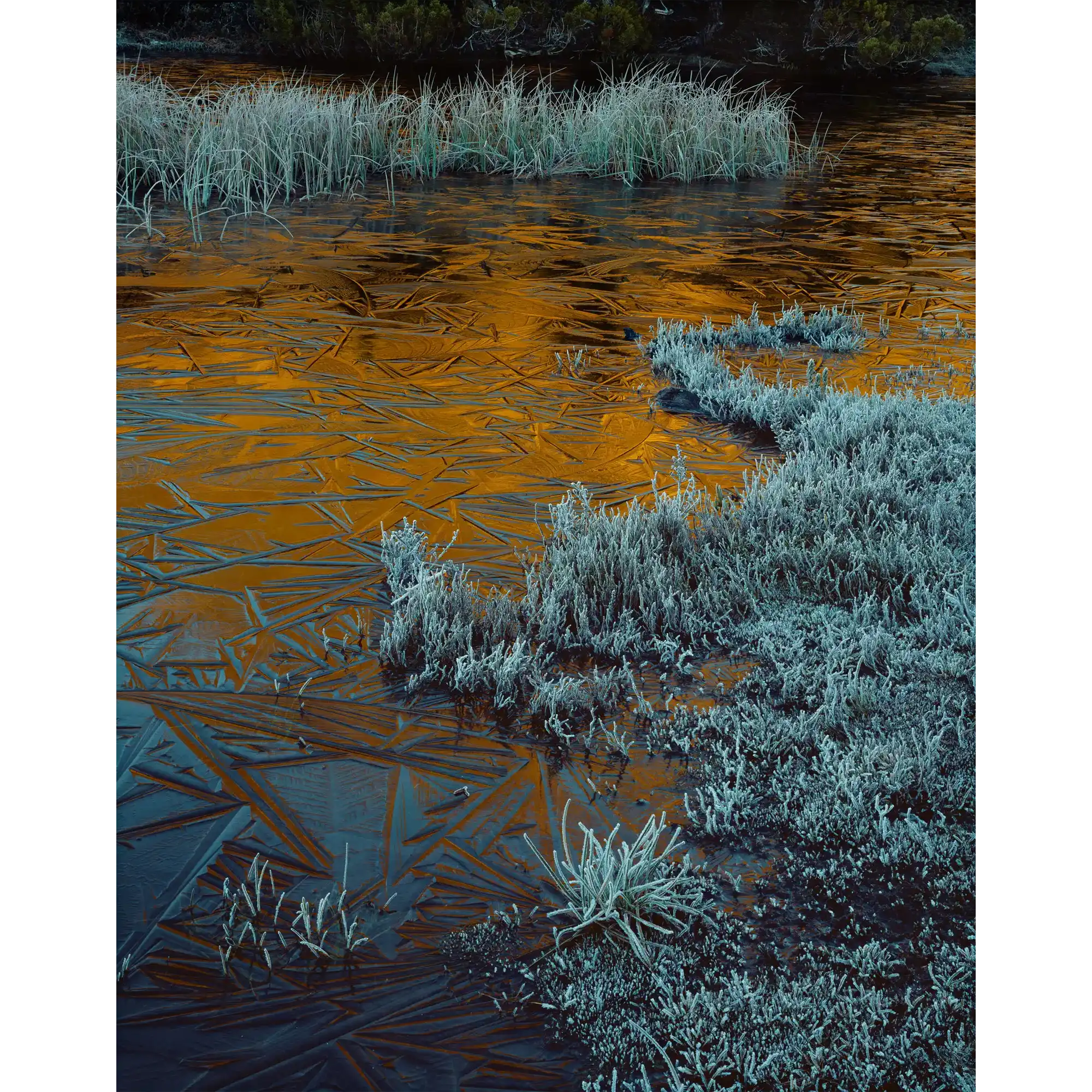 Ice and Alpenglow, Cradle Mountain-Lake St. Clair National Park, Tasmania by Peter Dombrovskis