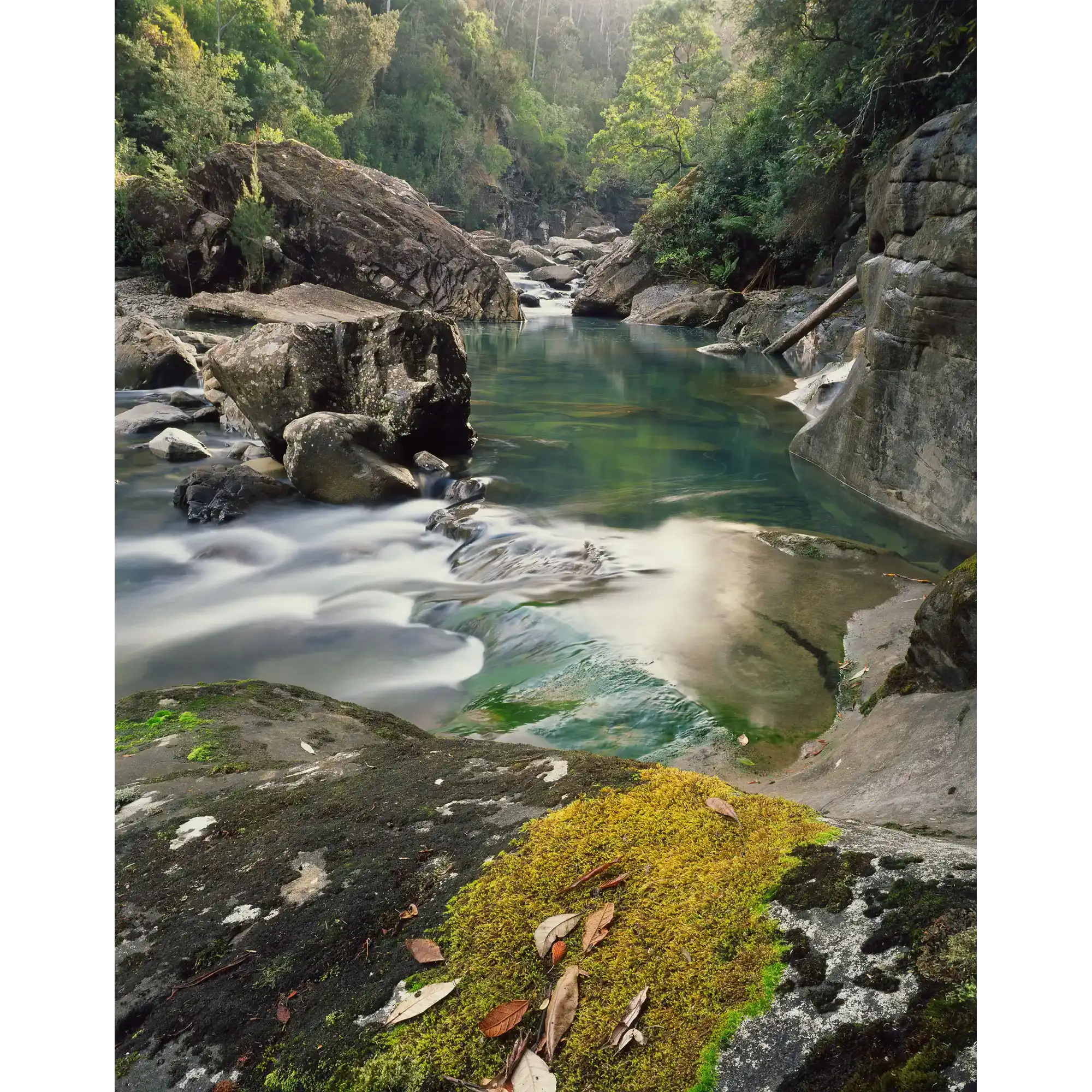 Douglas Gorge in the Douglas-Apsley National Park, Tasmania by Peter Dombrovskis