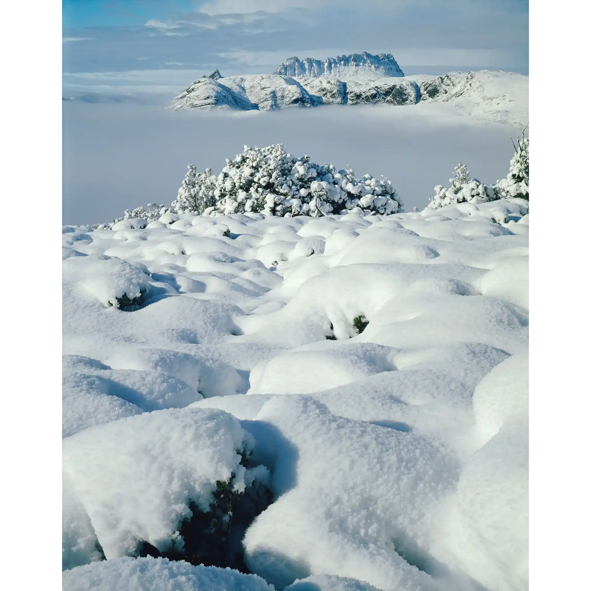 Cradle Mountain from Hounslow Heath, Cradle Mountain-Lake St Clair National Park by Peter Dombrovskis