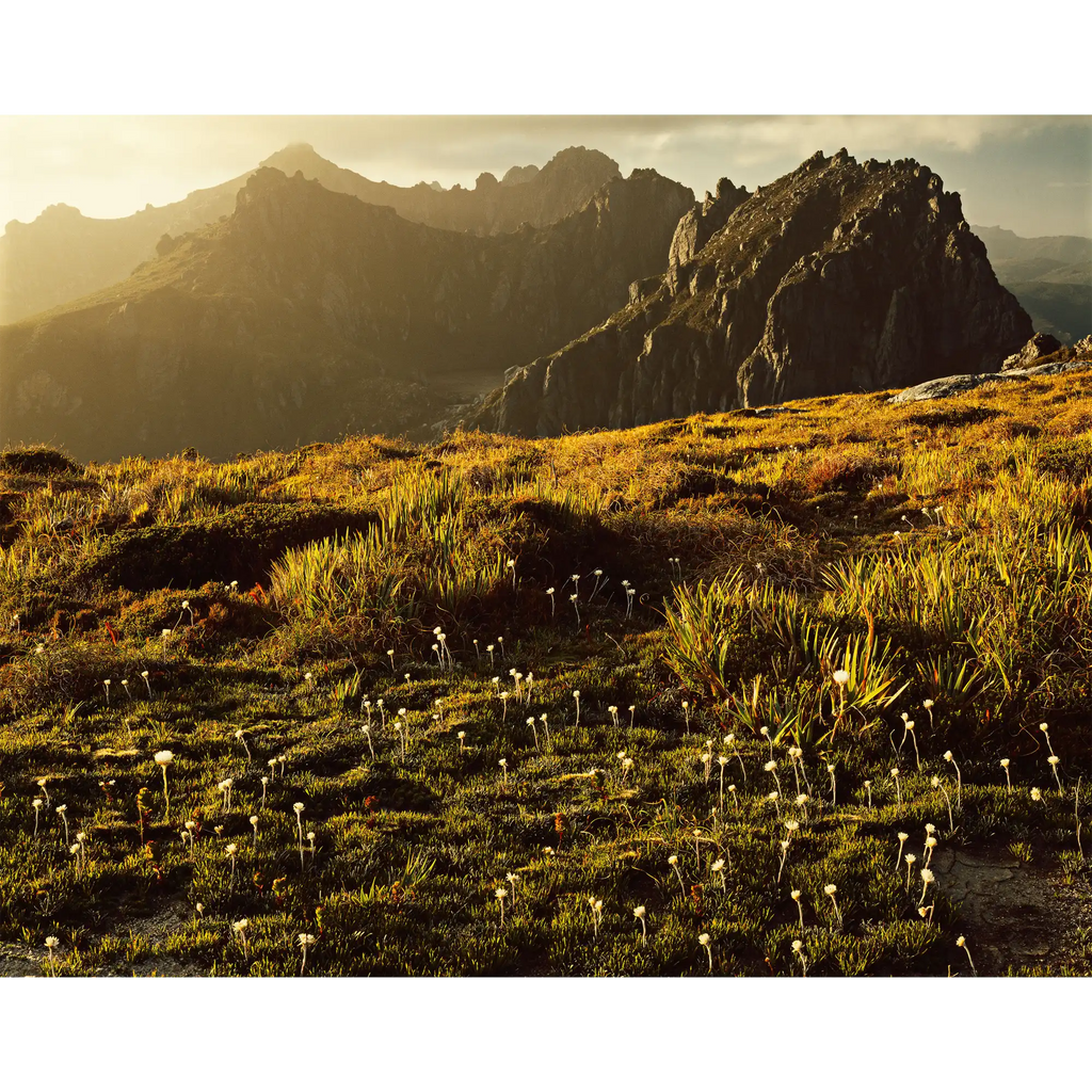 Western Arthur Range, southwest Tasmania by Peter Dombrovskis