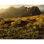 Western Arthur Range, southwest Tasmania by Peter Dombrovskis