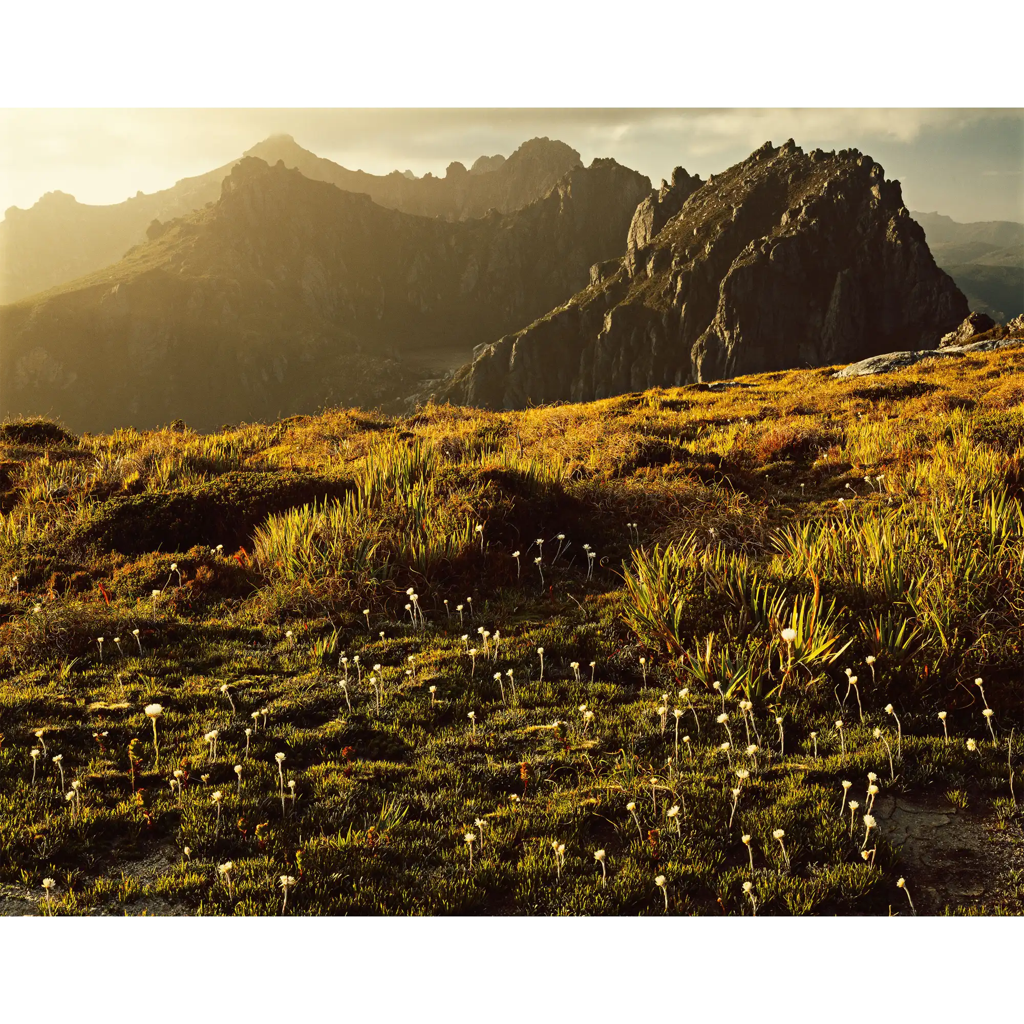 Western Arthur Range, southwest Tasmania by Peter Dombrovskis