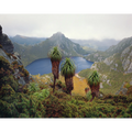 Lake Oberon, Western Arthur Range, southwest Tasmania by Peter Dombrovskis