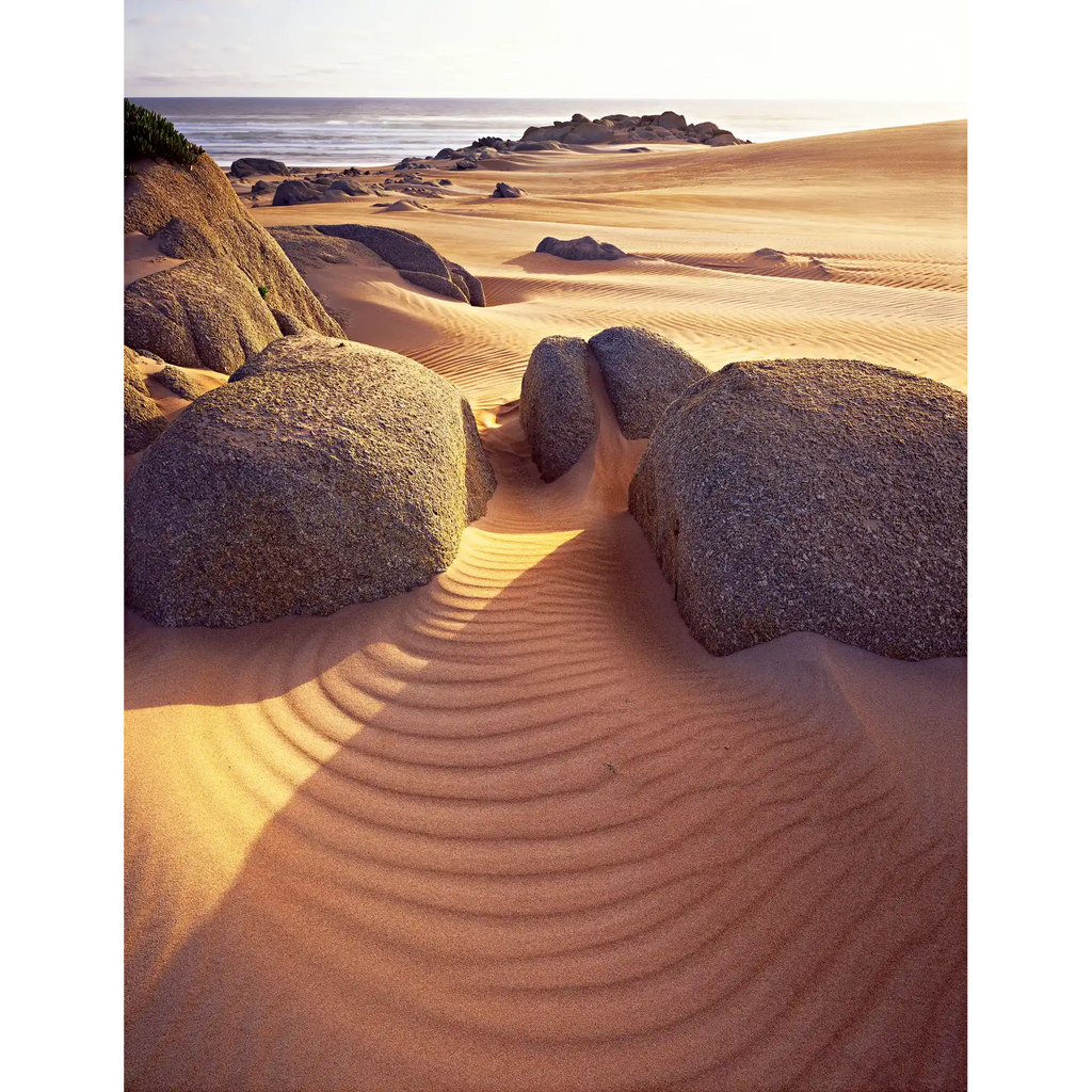 Dunes and Granite, takayna, Tarkine Wilderness, Tasmania by Peter Dombrovskis