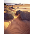 Dunes and Granite, takayna, Tarkine Wilderness, Tasmania by Peter Dombrovskis