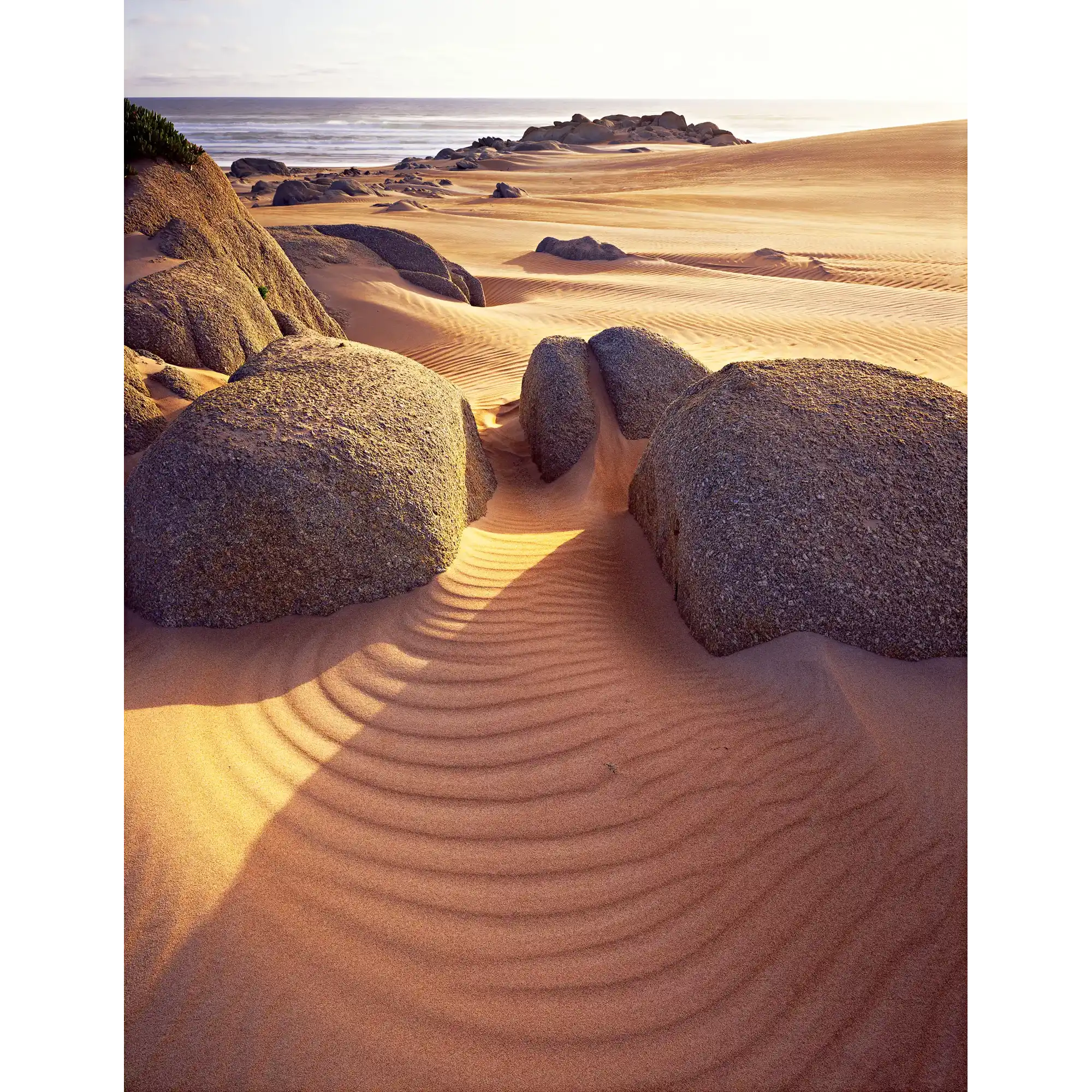 Dunes and Granite, takayna, Tarkine Wilderness, Tasmania by Peter Dombrovskis