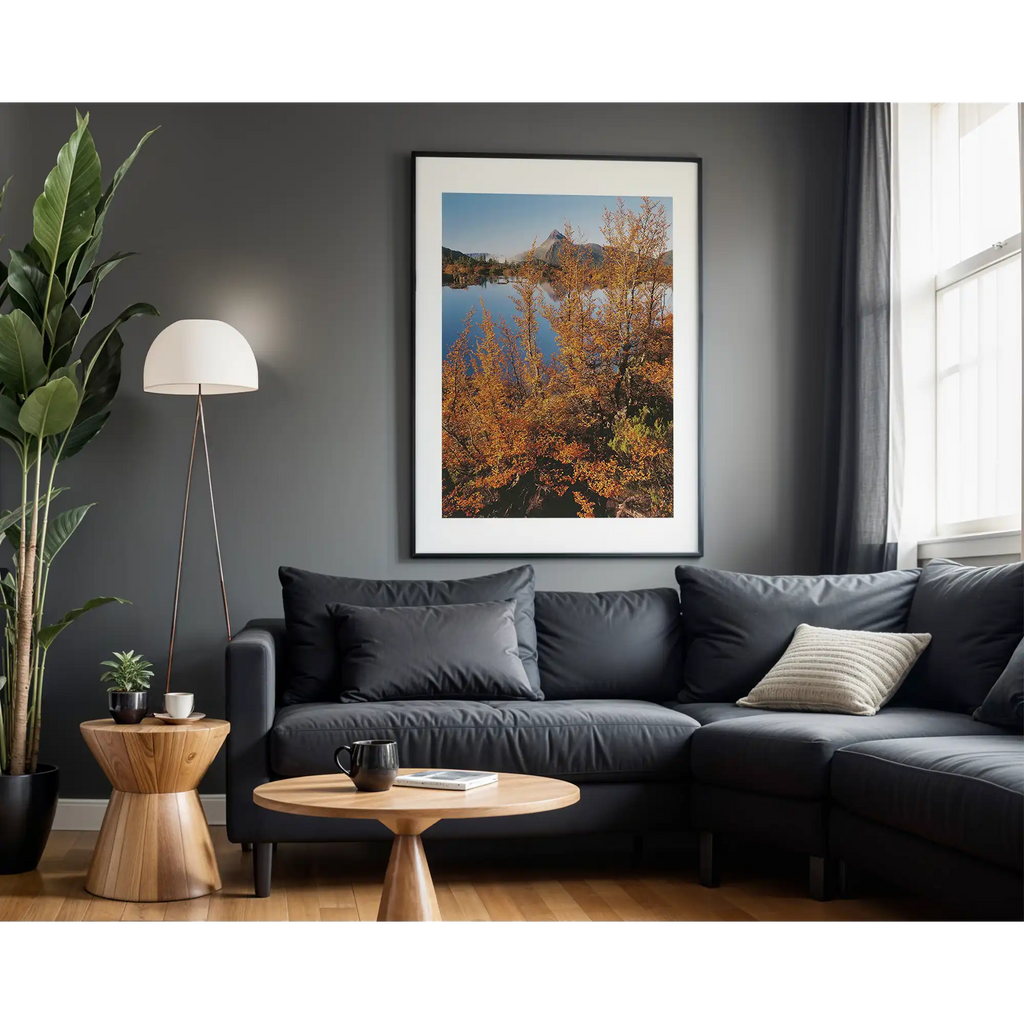 Fagus, Mt Gould, Cradle Mountain-Lake St Clair National Park, Tasmania by Peter Dombrovskis
